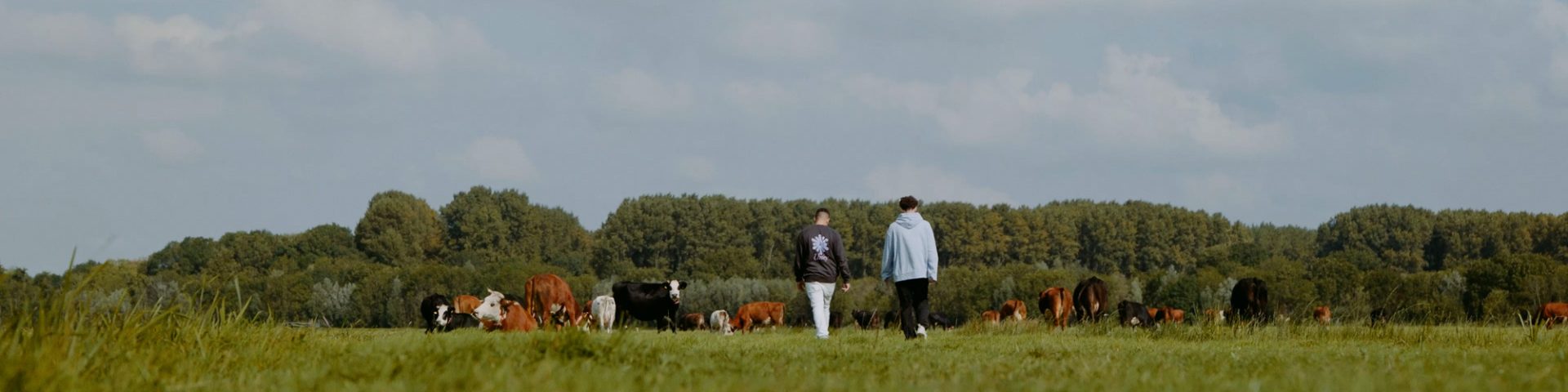 fillingpieces_683_v3_final.00_06_31_11.still009