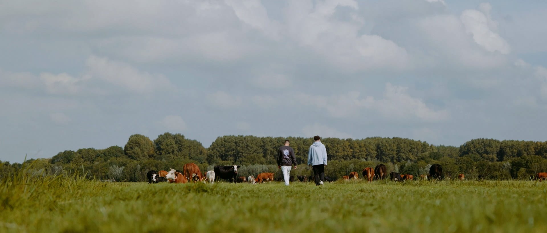 fillingpieces_683_v3_final.00_06_31_11.still009