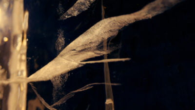 denham_coolmax_v2.00_00_02_20.still002